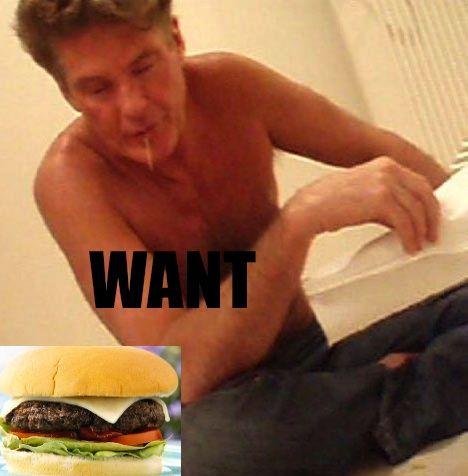 david-hasselhoff-drunk-want.jpg