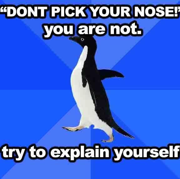nose1.jpg