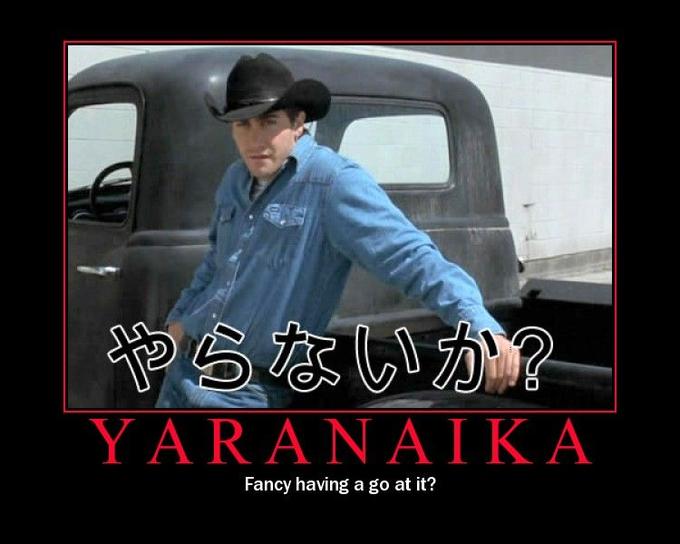 Yaranaika? (やらないか)