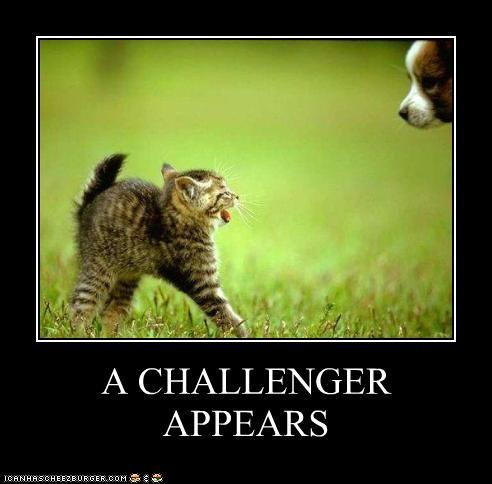 A Challenger Appears
