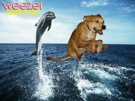Weezer Raditude Dog 