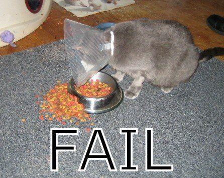 fail2d12c8b7pm9.jpg