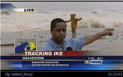 Pedobear