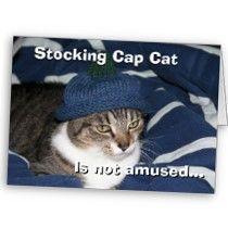 stocking_cap_cat_is_not_amused_card-p137421779841039293tru4_21020110724-22047-r7c15m.jpg