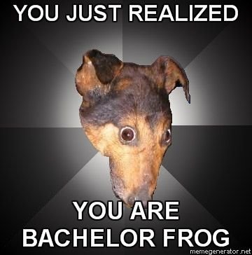 Depression Dog