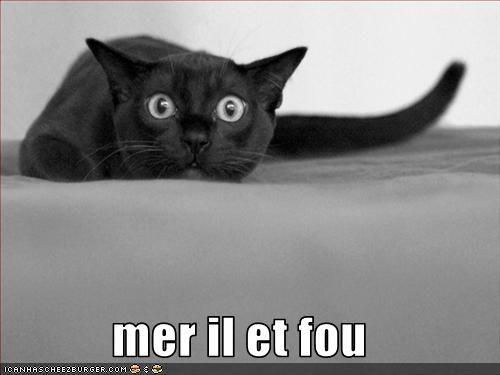 MER IL ET FOU