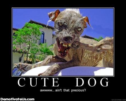 Sam the World's Ugliest Dog