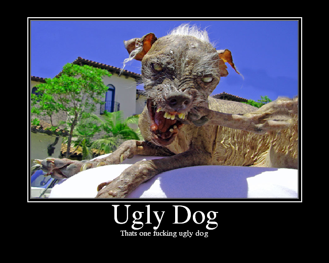 UglyDog.png