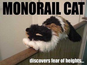 Monorail Cat