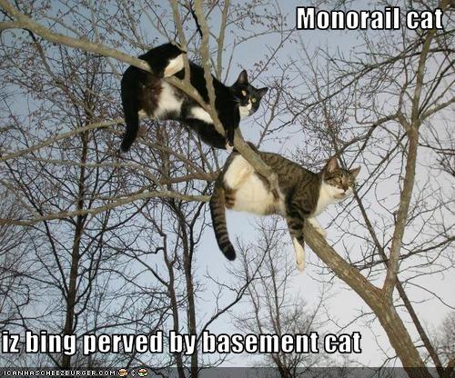 Monorail Cat