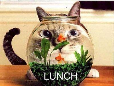 lunch.jpg