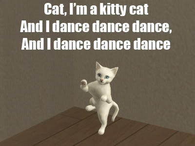 Kitty Cat Dance