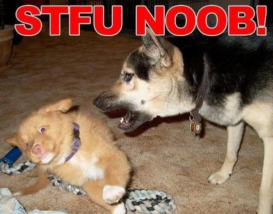 Noob
