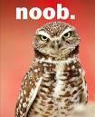 Noob