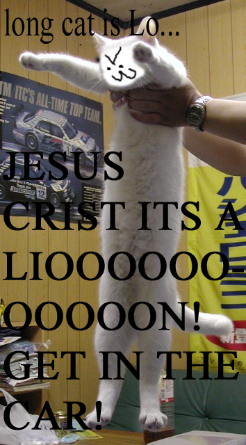 JESUS CHRIST IT'S A LION GET IN THE CAR!
