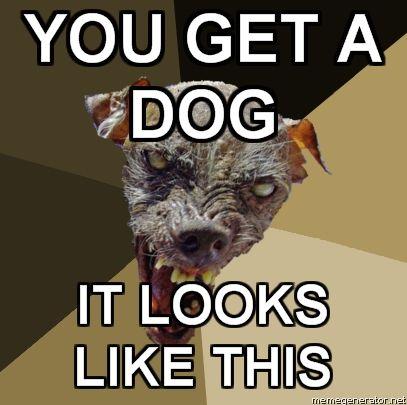 Ugly-Dog-YOU-GET-A-DOG-IT-LOOKS-LIKE-THIS.jpg