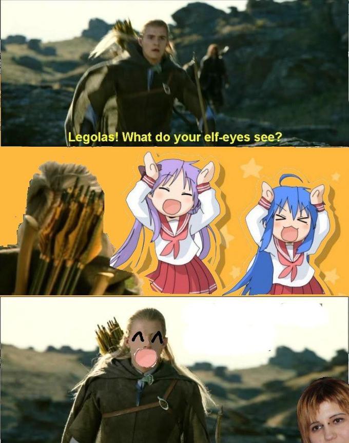 What do your elf eyes see?
