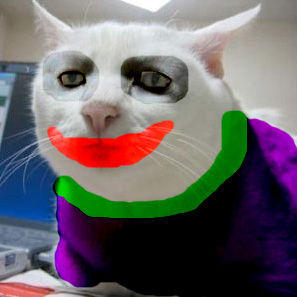 Serious Cat