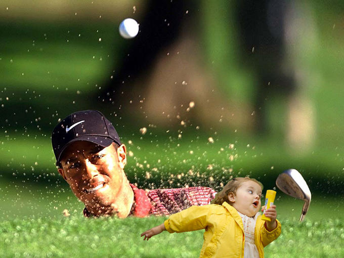 tiger.jpg