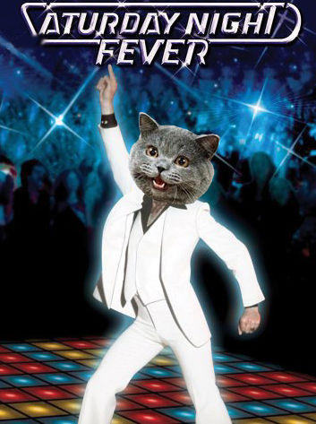 Caturday