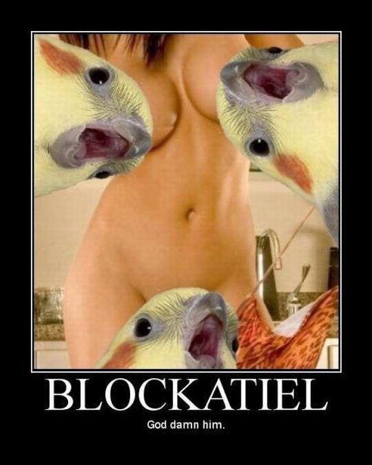 Blockatiel