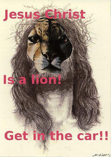 JESUS CHRIST IT'S A LION GET IN THE CAR!