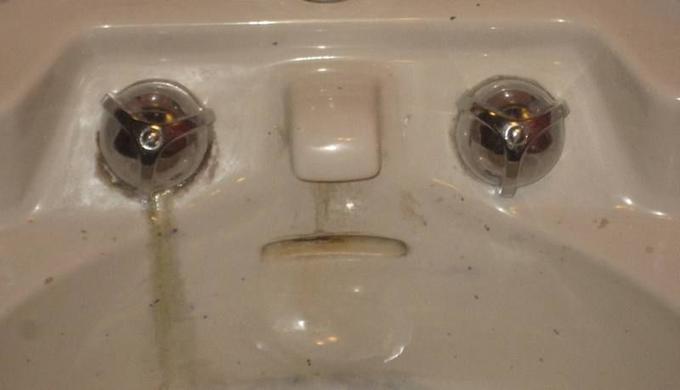 Things With Faces