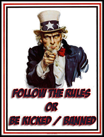 Rules of the Internet