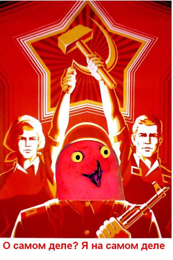 lol_russian_propaganda_orly.JPG
