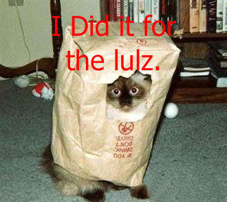 I Did It for the Lulz