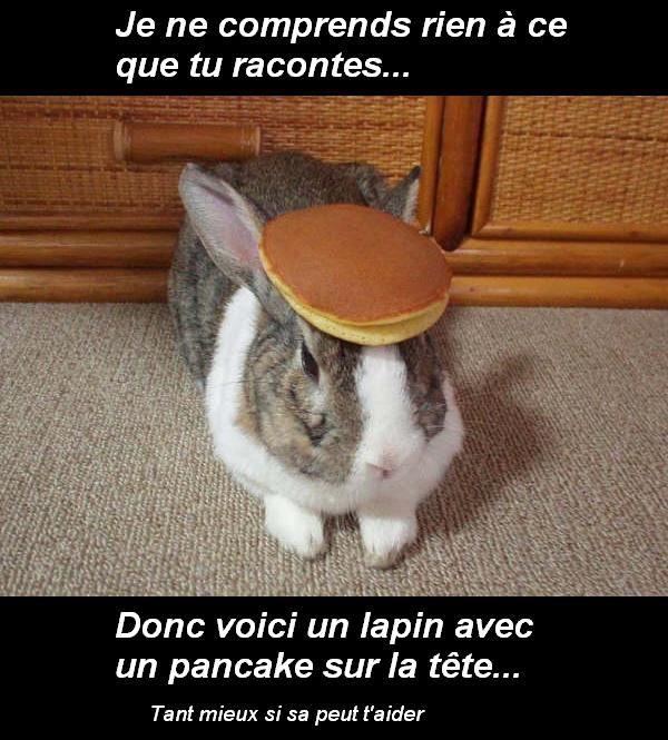 Pancake Bunny