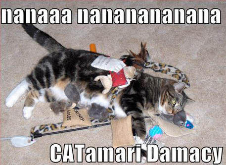 catamari.jpg