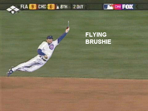 1263612075687.gif