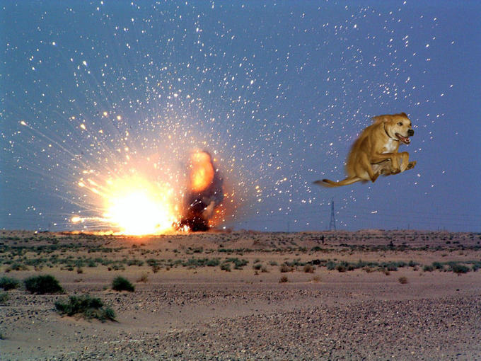 weezdog_splosion.jpg