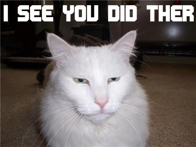 LOLcats