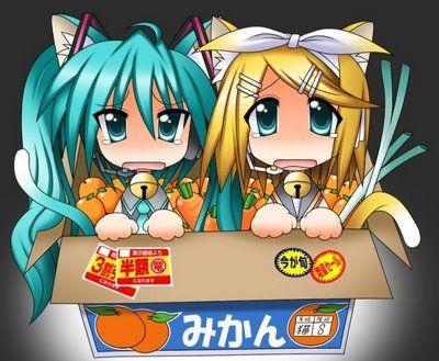 Miku Hatsune / Vocaloid