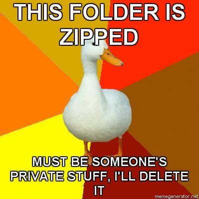 Technologically Impaired Duck