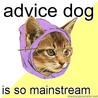 not-bike-punk-kitty-advice-dog-is-so-mainstream.jpg