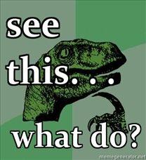 Wat Do?