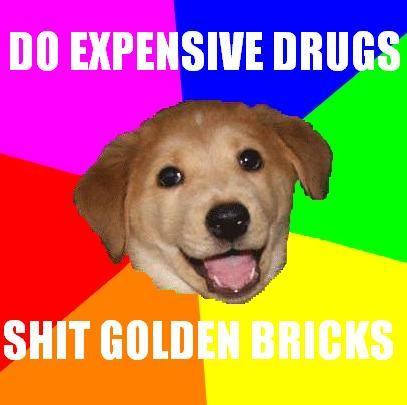 Advice Dog