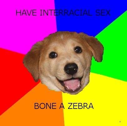 Advice Dog