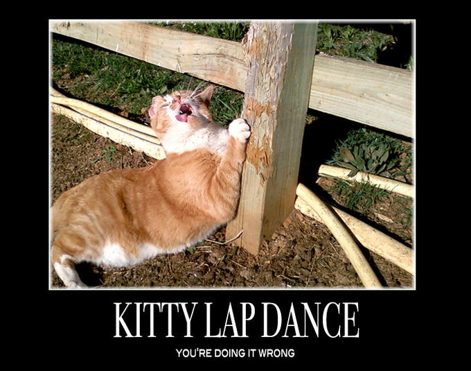 KittyLapDance.jpg