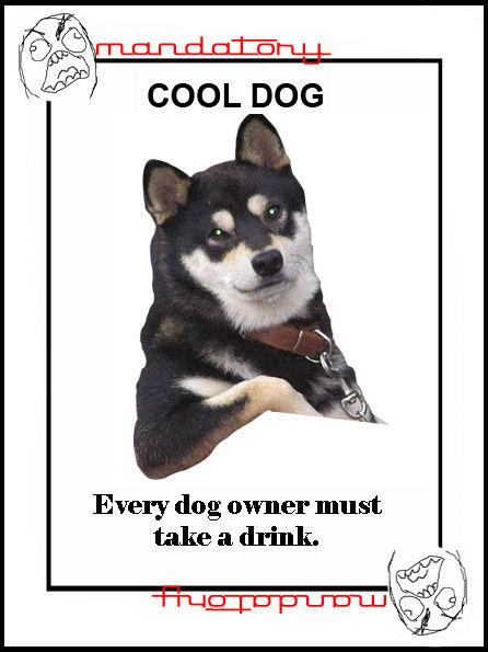 t84833_Cool_Dog.jpg