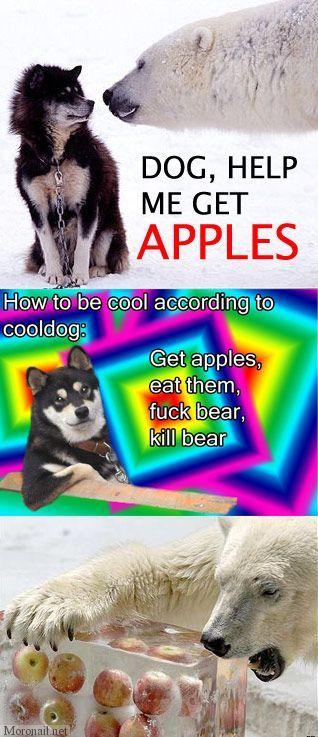 567.jpg