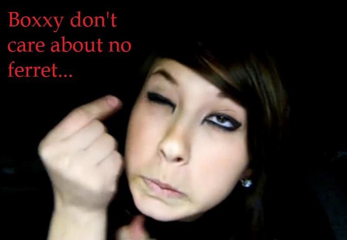 Boxxy.jpg
