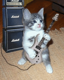 LOLcats