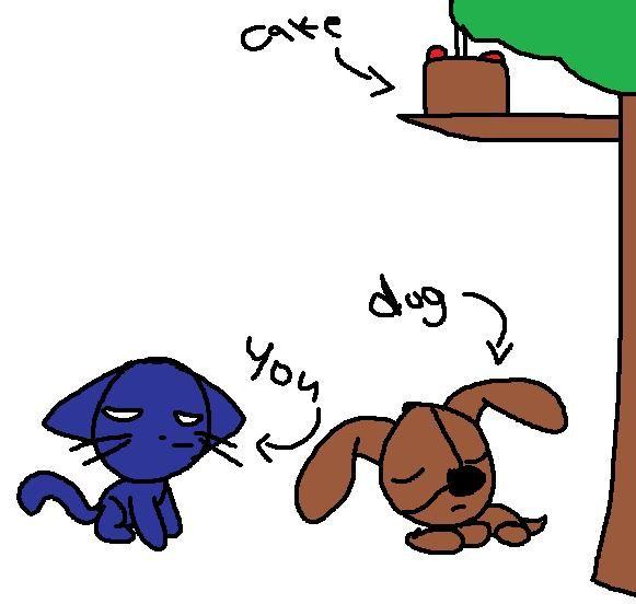 getthecakewhenyouracat.jpg
