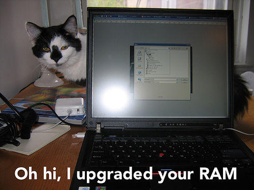 ram5.jpg