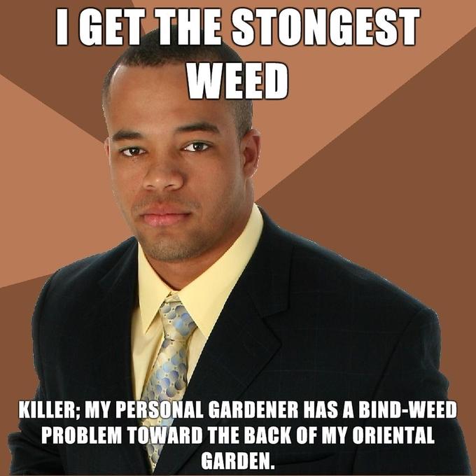 Successful-Negro-I-GET-THE-STONGEST-WEED-KILLER-MY-PERSONAL-GARDENER-HAS-A-BIND-WEED-PROBLEM-TOWARD-THE-BACK-OF-MY-ORIENTAL-GARDEN.jpg