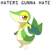 haterssmugleaf20110724-22047-1kif5td.gif